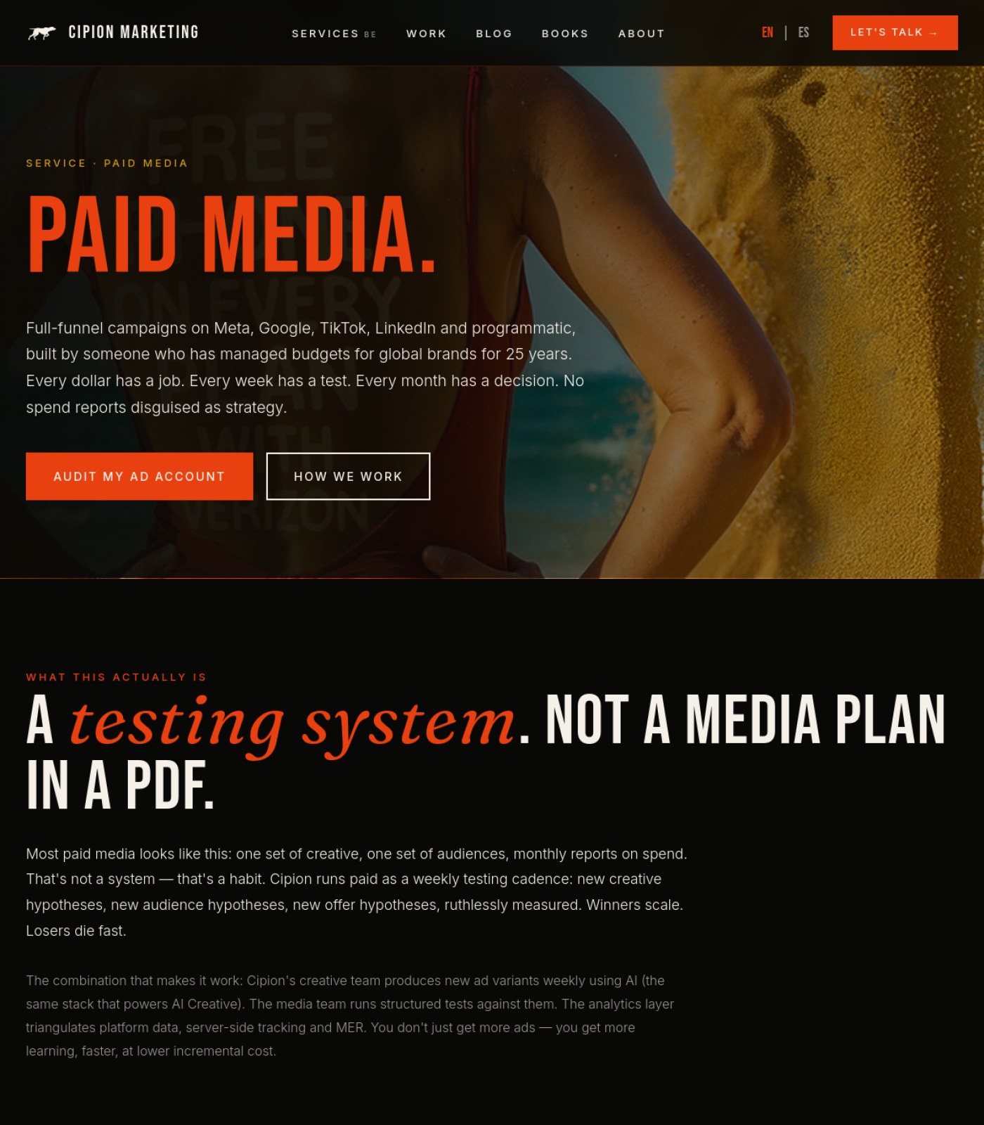 cipionmarketing.com screenshot